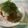 JACK0904's cooksnap of when they made 翌日安心☆ニンニク入れない！嬉しい唐揚げ.