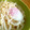mai0303mai's cooksnap of when they made うちのうどんつゆ（讃岐風）.