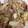 まみぺこママ's cooksnap of when they made 簡単♪焼肉のタレで柔らか肉炒め.