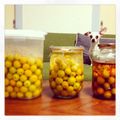 ALEX＆Roloc's cooksnap of when they made 梅酒 簡単すぎた〜.