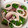 ゆぅこ0802's cooksnap of when they made イカとピーマンの塩麴炒め.