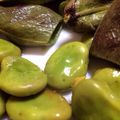 ニモだいすき's cooksnap of when they made 空豆のグリル～魚焼きグリルで焼くだけ♪～.