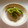 tazirika's cooksnap of when they made ミズの浅漬け★簡単.