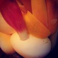 maroo's cooksnap of when they made 意外にハマる、卵のピクルス.