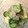sekiyka's cooksnap of when they made ＊きゅうりと大根の酢の物＊*.