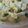 だまちょ's cooksnap of when they made 新じゃがと空豆のたまごサラダ.
