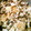 さとぽみにら's cooksnap of when they made 厚揚げとなすのゴマ味噌炒め.