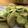 スンダラヘ's cooksnap of when they made 美味しいそら豆の茹で方.