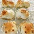 pitachan1's cooksnap of when they made HB基本のパン生地.