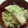 ko2cook's cooksnap of when they made 秋鮭ときのこの鉄鍋ご飯.