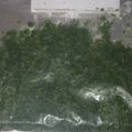 そらおのえくぼ's cooksnap of when they made ♪保存&冷凍方法♪パセリ.