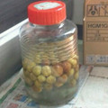 とっちょ1214's cooksnap of when they made 簡単☆梅酒の作り方.