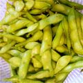 カナキリ's cooksnap of when they made 絶対美味しい茹で枝豆…塩は惜しみなく.