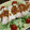 あいちま♪'s cooksnap of when they made ＊ルクエde塩鶏のねぎソースがけ＊.