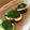 こどまだまや's cooksnap of when they made カプレーゼ.