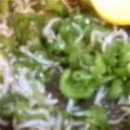 くるくま葉月's cooksnap of when they made ピーマンのじゃこ炒め.