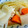 AKIRA大魔王's cooksnap of when they made 和風ポトフ♪.