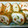 チョイコ's cooksnap of when they made フキの信田巻き.