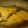 Scook3104's cooksnap of when they made 基本のかれいの煮つけ.