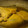 Scook3104's cooksnap of when they made 基本のかれいの煮つけ.
