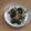 きらり流れ星's cooksnap of when they made ほうれん草のベーコン炒め.