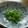 最後の果実's cooksnap of when they made 大根の茎炒め♪.