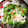 唯やん's cooksnap of when they made きゅうりとカニカマの簡単酢の物☆.