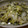 conn's cooksnap of when they made きゃべつとひじきの酒蒸し.