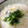 まんまーるさん's cooksnap of when they made 体ぽかぽか♪ほっこり中華粥.