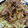 ｋｕｍｉｔｙ's cooksnap of when they made 豚のしょうが焼き（覚書き）.