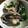 ひさき's cooksnap of when they made ☆きゅうりとナスのしば漬け☆.