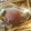 kopimama's cooksnap of when they made 【ラピュタのような目玉焼きトーストを簡単に】.