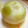 ありんcc's cooksnap of when they made ルクエで簡単♡新玉ねぎのバター蒸し♡.