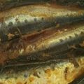 ももいちご４５'s cooksnap of when they made いわしの梅肉煮.