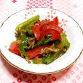 シャンプーハット's cooksnap of when they made ピーマンとじゃこの昆布茶炒め.