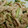 みーちゃん3's cooksnap of when they made 蒸し鶏ときゅうりの胡麻和え.