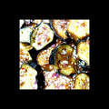 ききぃろ's cooksnap of when they made 茄子の中華揚げ浸し★.