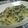 ちびっこサクラ's cooksnap of when they made 冷蔵庫の材料でお米から作るチーズリゾット.