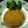ジョンリークッカー's cooksnap of when they made 母の味☆クリームコロッケ.