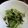 non0622's cooksnap of when they made ＊ヒジキ煮と水菜のサラダ＊.