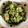 よいゆきママ's cooksnap of when they made シメさばときゅうりの酢の物❗️.