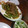 JATIS's cooksnap of when they made ゴーヤの和風炒め.