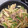まろちゃん♥︎ぽぽ's cooksnap of when they made ジャガイモと豚肉のマヨ炒め.