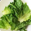 TOMOKO✿'s cooksnap of when they made 暑い日に！レタスの胡麻油和え.