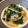 momonga222's cooksnap of when they made ほうれん草とえのきのみぞれ和え.