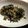 inomariri's cooksnap of when they made 塩麹豚ひき肉と大根の葉のそぼろ.