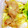 kiyoねぇ's cooksnap of when they made キャベツも炒めるしょうが焼き!!.