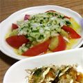 emityu's cooksnap of when they made トマトとナスのイタリアンマリネサラダ.