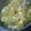 ｍｏｃｏ．．'s cooksnap of when they made 白菜と豚肉のトロトロうどん.