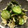 ck_yukky's cooksnap of when they made わかめと切り干し大根のさっぱりサラダ.
